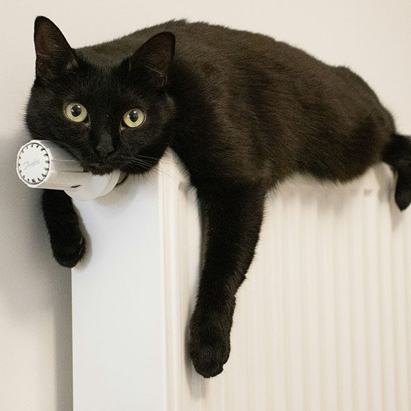 radiateur chauffe en haut mais pas en bas